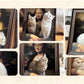 🔥Hot Sale🔥Brand New 4D Stereo Cat Scratching Bed – Unique Mona Lisa Design for Cats