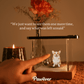 🌈🐾 Pet 3D Hologram Projector House – Turn Your Favorite Pet Photos/Videos into a Living Hologram. Sympathy Gift for Loss of Dog or Cat, A Keepsake to Honor Their Memory 🌟🎁💖