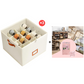 ⏳Limited time 50% off💥Oxford Fabric Foldable Design Shoe Organizer, Storage Box，Collapsible, Stackable, Holds 12 Pairs, Breathable Fabric, Protects Shoes From Dust & Moisture. Keep Your Closet Neat & Tidy! 🥾👠✅