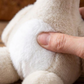 🔥Last Day Hot Sale 48%OFF!🔥Magnetic Detachable Duck PlushToys🦆🧲– detachable, hilarious, fun gift for all!